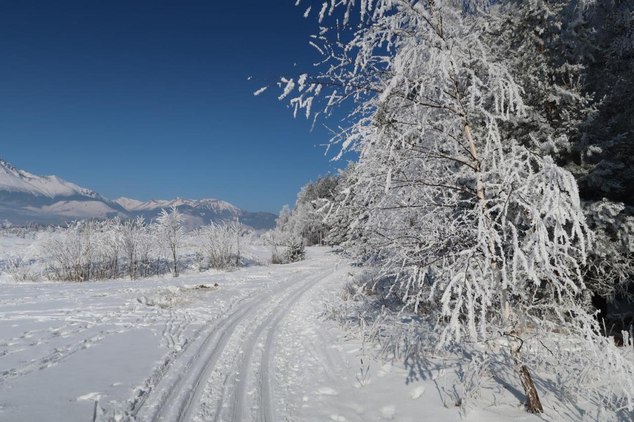 Apartament Tatry Golf Apartman Wielka Łomnica Zewnętrze zdjęcie